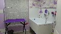 увеличить Ветеринарная клиника Рыжий Кот в Увe